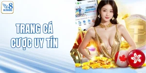 Trang Cá Cược Uy Tín - Trải Nghiệm Giải Trí Tại O8 Đẳng Cấp
